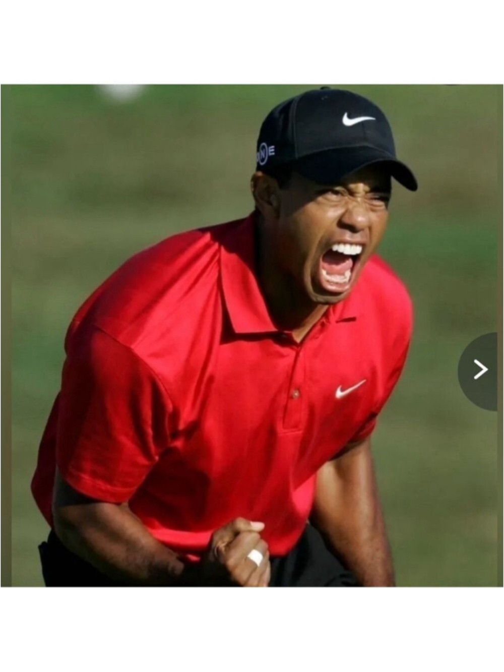 Nike Tiger Woods Collection Pink Medium Golf Shirt Men’s
